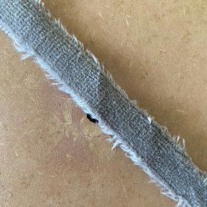 Anthropologie Grey Antiqued Frayed Velvet Ribbon NWT